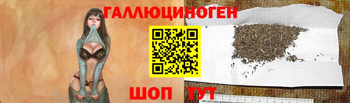 Псилоцибиновые грибы прущие грибы  Вход с VPN  Мценск 