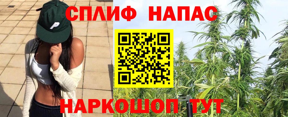 Канабис MAZAR Мценск